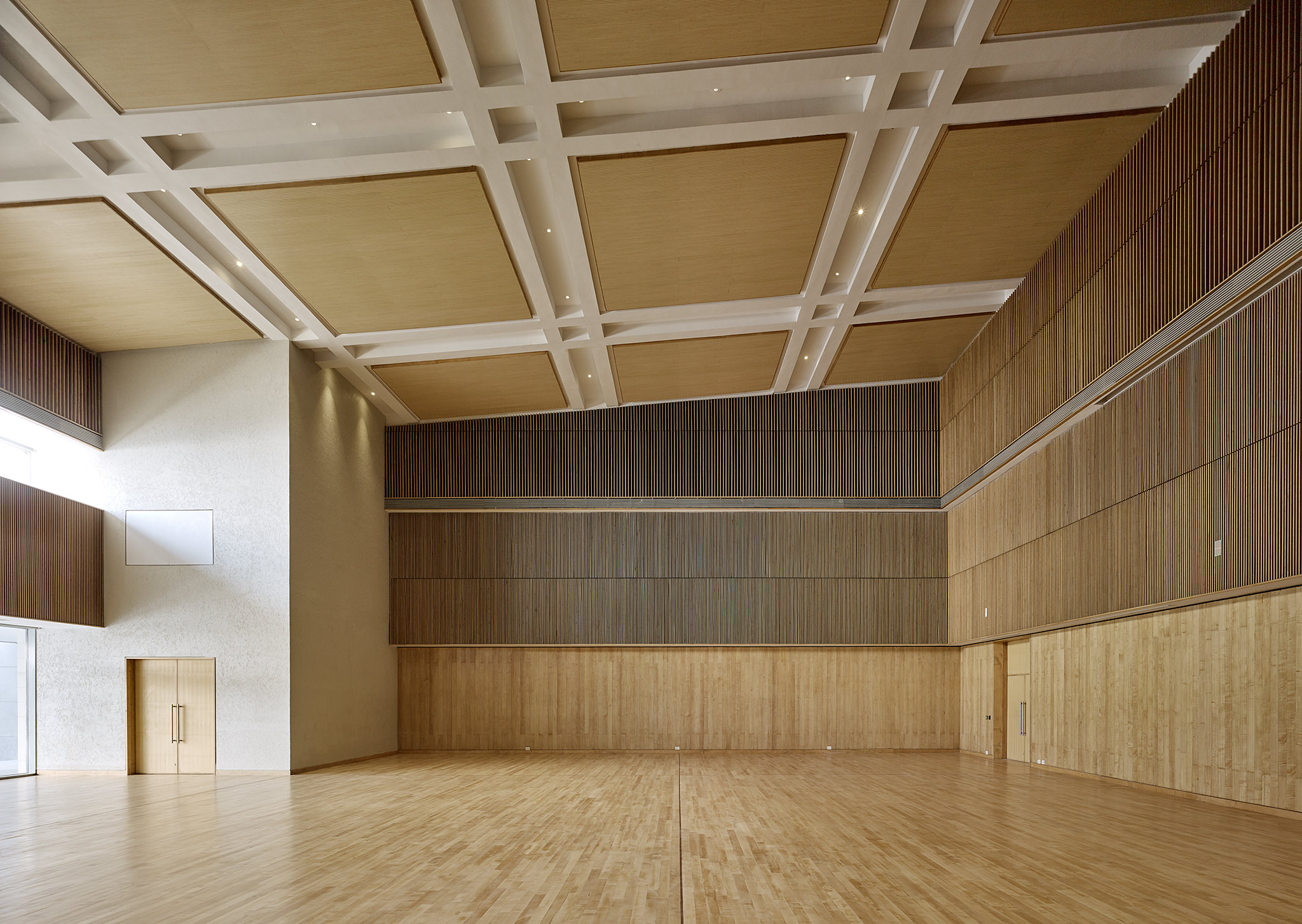 Bihar Museum / Maki and Associates + Opolis